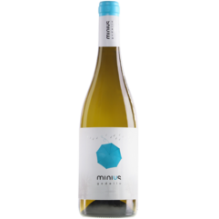 Minius Godello 2024