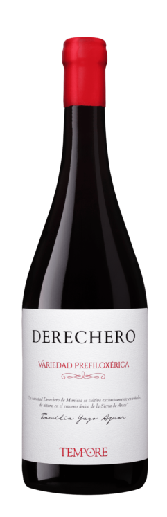 Tempore Derechero 2023